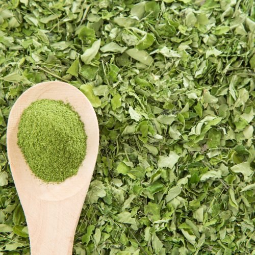 Dried moringa leaves
